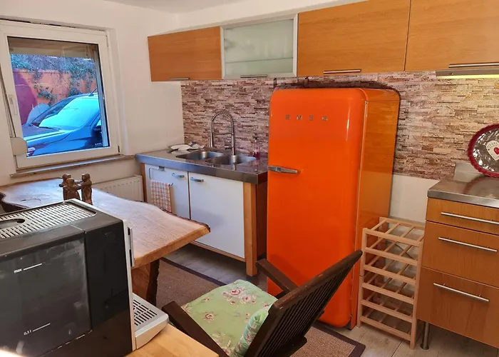Schönste Lage am Rhein in unmittelbarer Stadtnähe, B&B